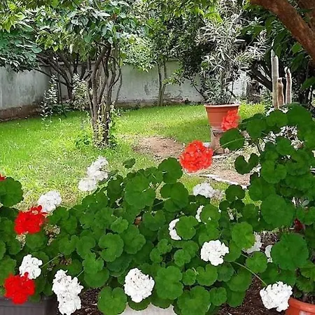 Генералската Къща Holiday home Sinemoretz