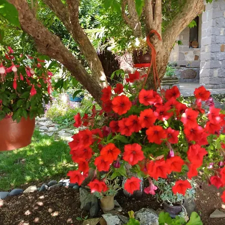 Holiday home Генералската Къща